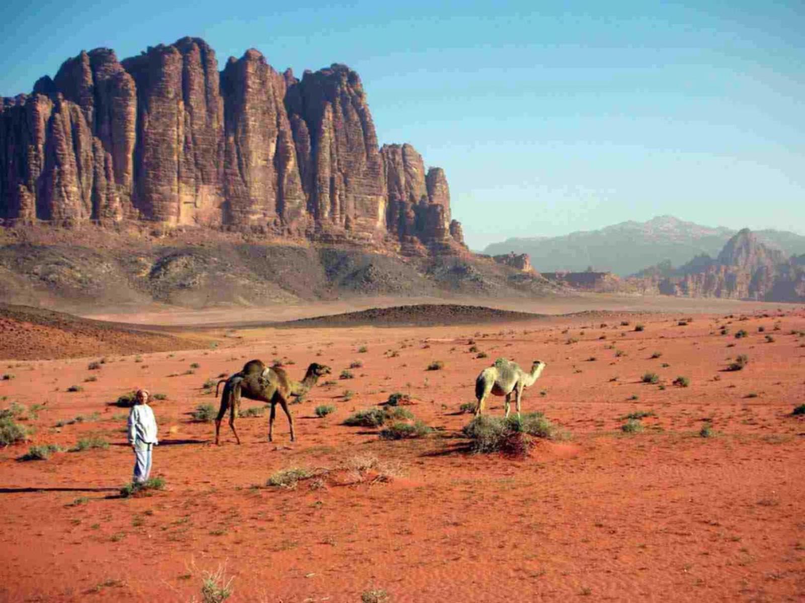 Отель Wadi Rum Caeser Camp Экстерьер фото